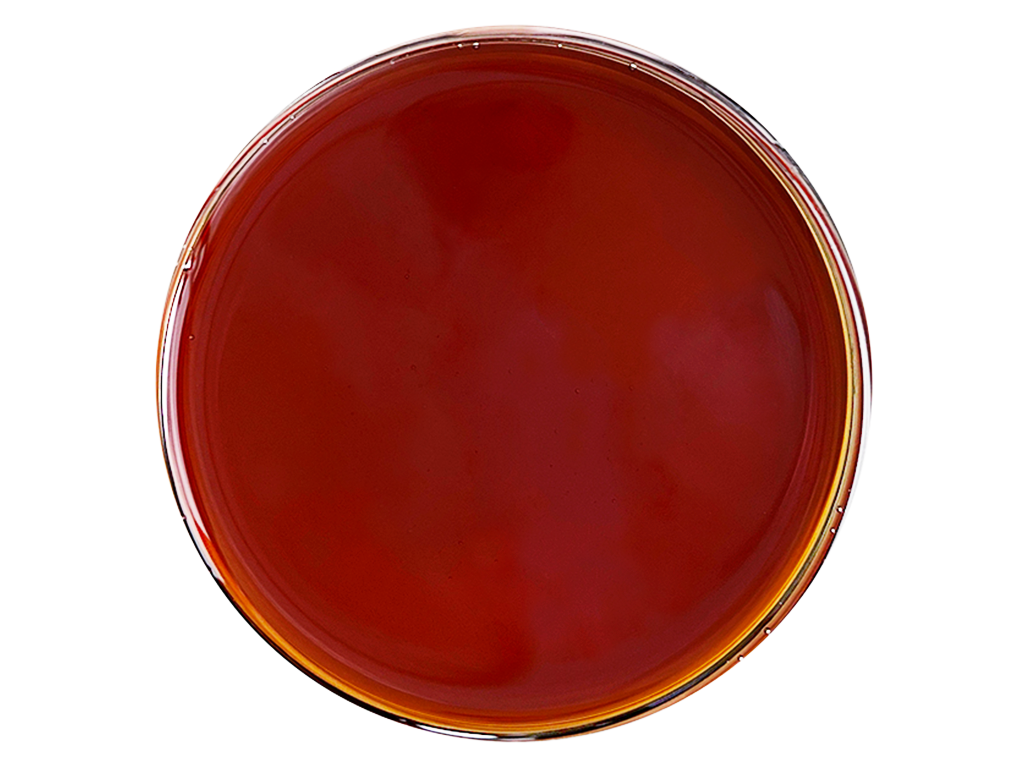 PuffPlanet CBD CRD - nekrystalizující destilát 100g 3 PuffPlanet CBD CRD - nekrystalizující destilát 100g - Obrázek 3