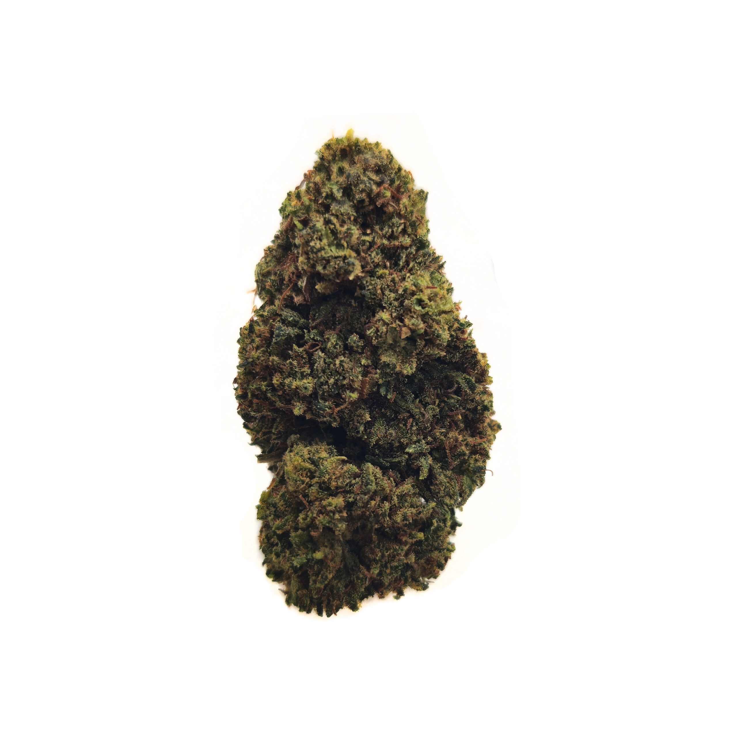 THC-D Orange Cookies květ konopí Hmotnost: 1g 2 THC-D Orange Cookies květ konopí Hmotnost: 1g - Obrázek 2