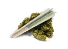 CBD produkty 3 cbd prerolls