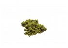 CBG produkty 5 cbg kief czech cbd 1