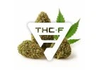 THC-F produkty 2 thc f buds kategorie